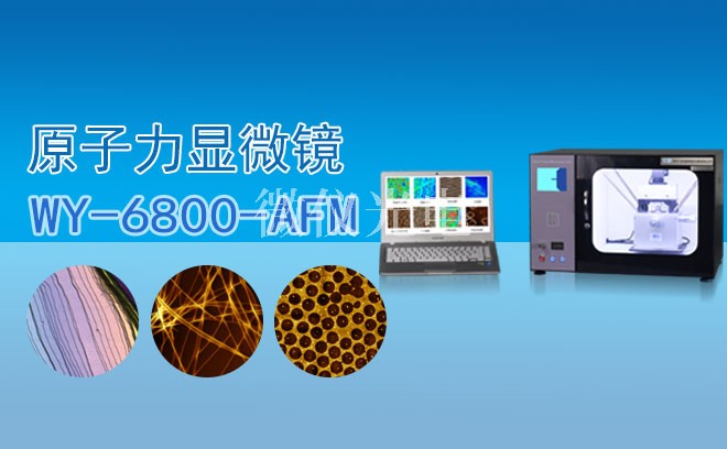 為什么AFM原子力顯微鏡在土壤研究中的應用正成為科研新焦點？